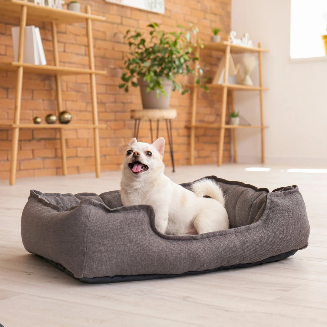 Dog beds - hugostreats