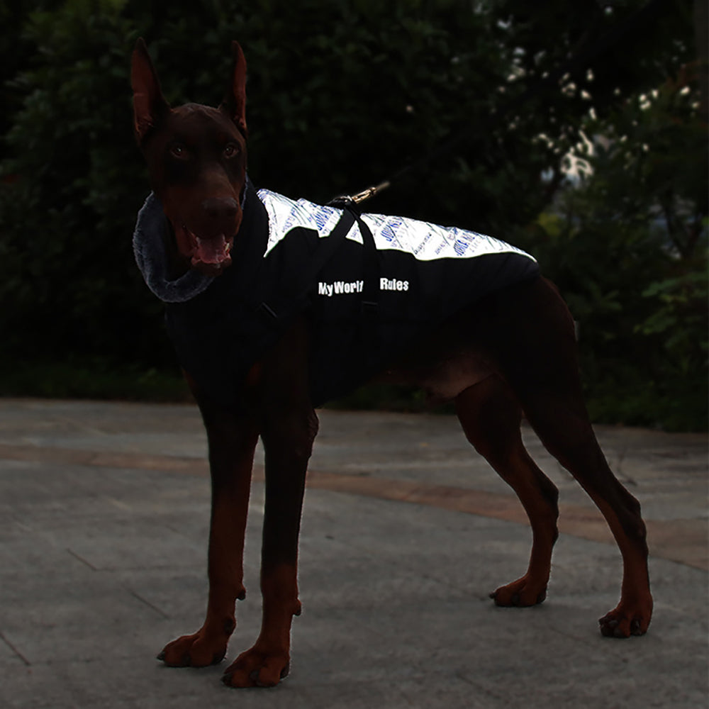 3 In 1 Winter Dog Coat Harness - Grey