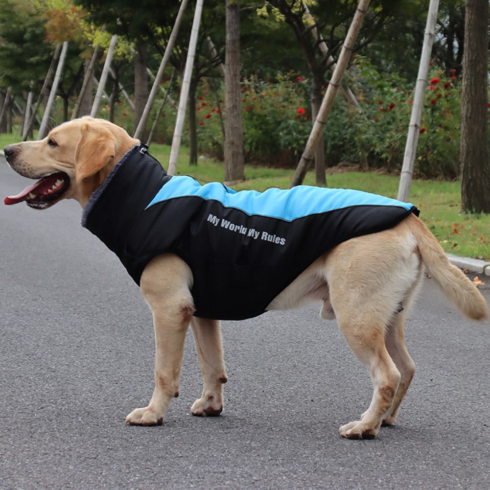 3 In 1 Winter Dog Coat Harness - Blue