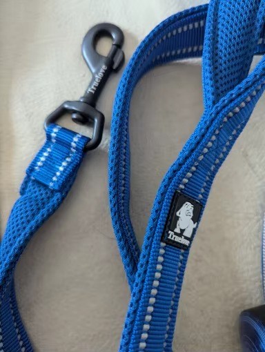 3M Dog Reflective Leash - Blue