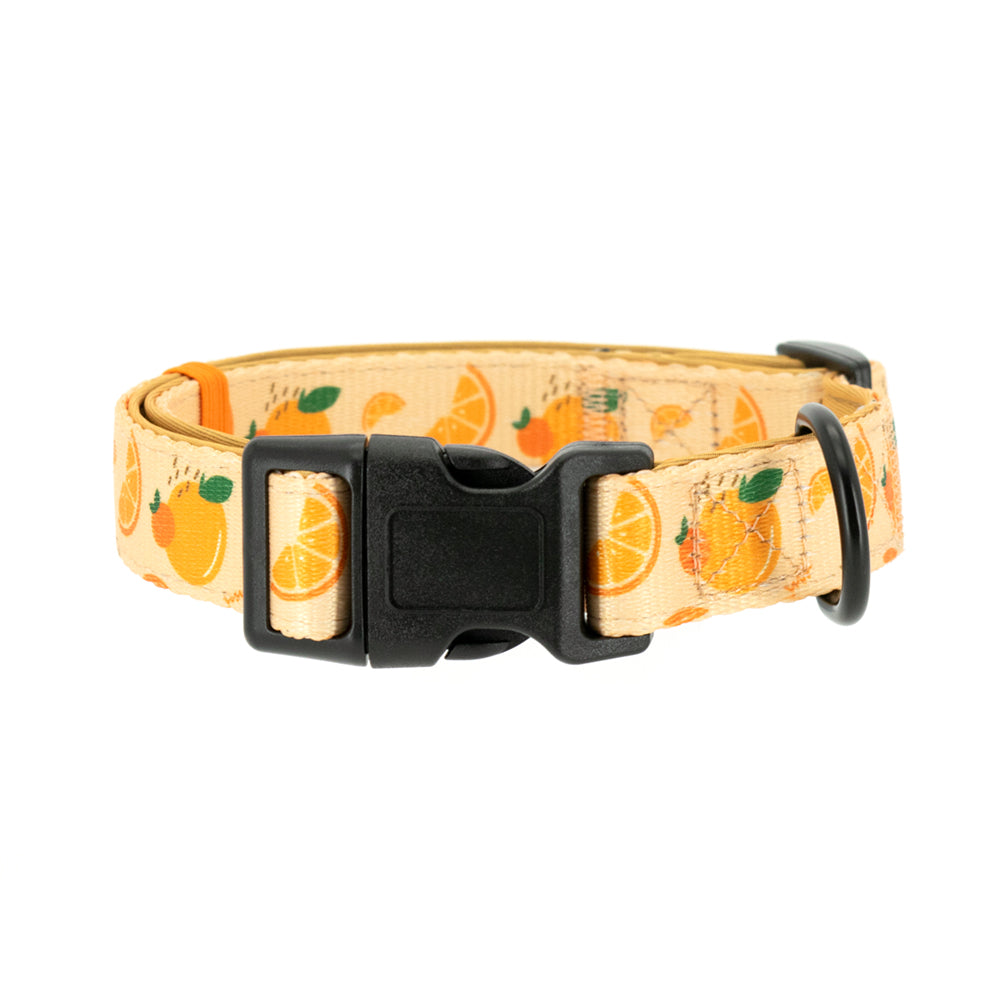 Adjustable Neck Harness - Oranges