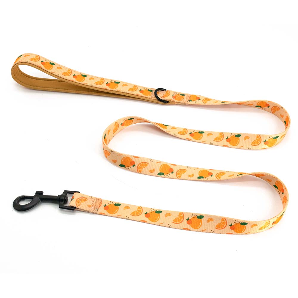 Adjustable Neck Harness - Oranges