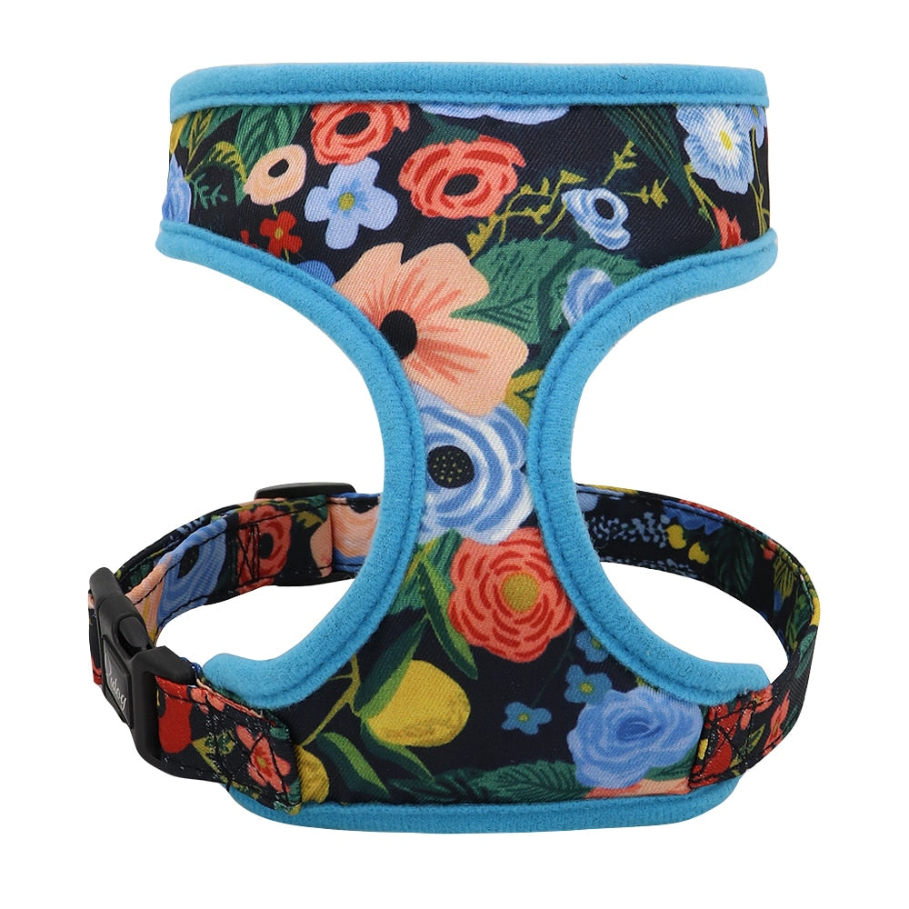 Small/Medium Dogs Pattern Harness - hugostreats