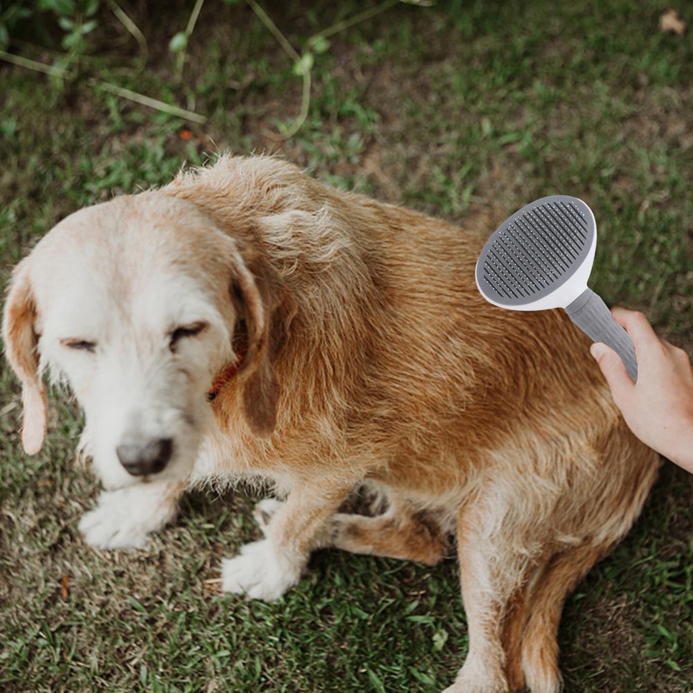 Hair Removal Brush - hugostreats