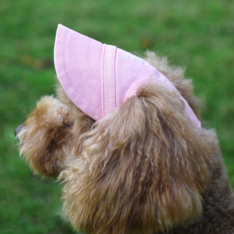 Stylish Baseball Cap - hugostreats