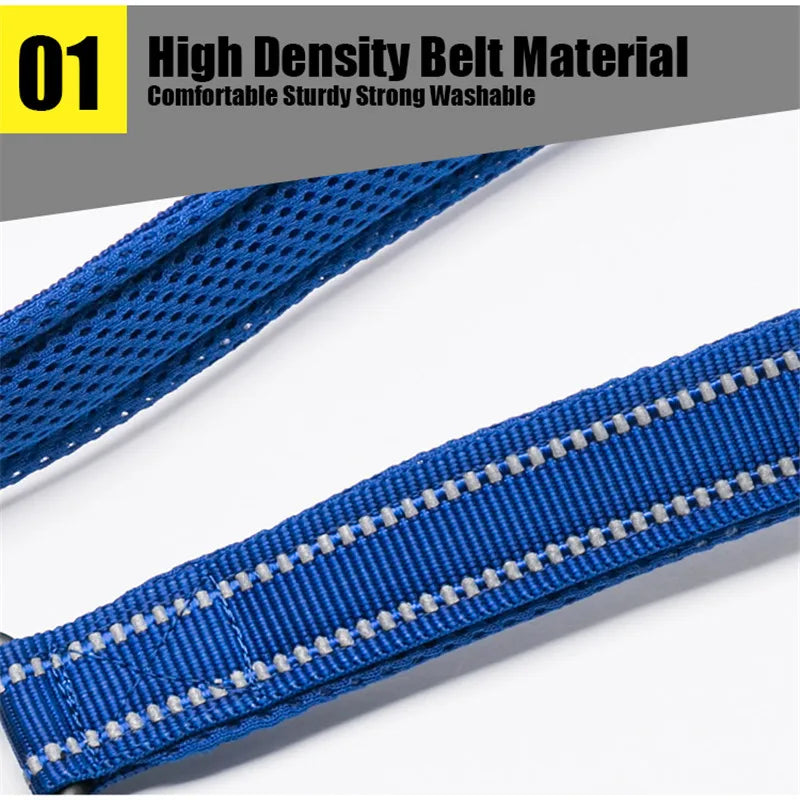 3M Dog Reflective Leash - Blue