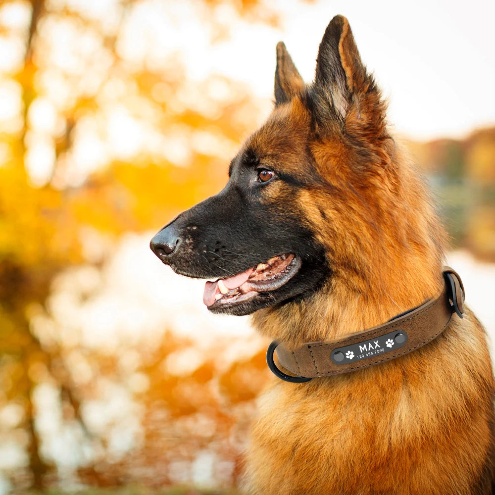 Personalised Collar & Leash Set - Coffee