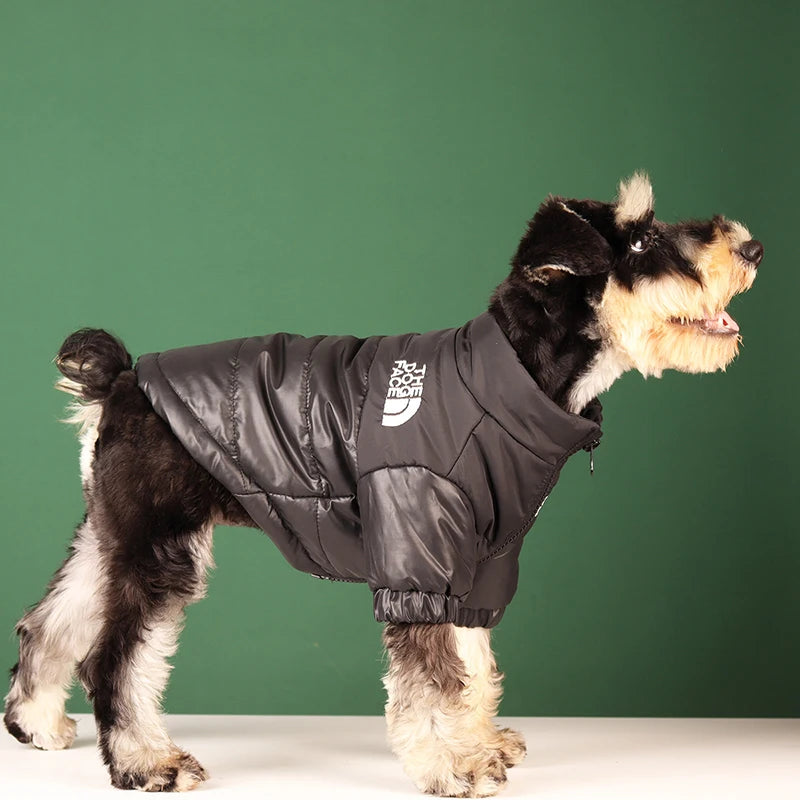 Premium Puffer Coat - Black