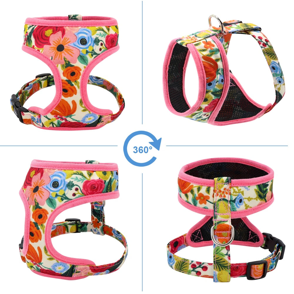 Small/Medium Dogs Pattern Harness - hugostreats
