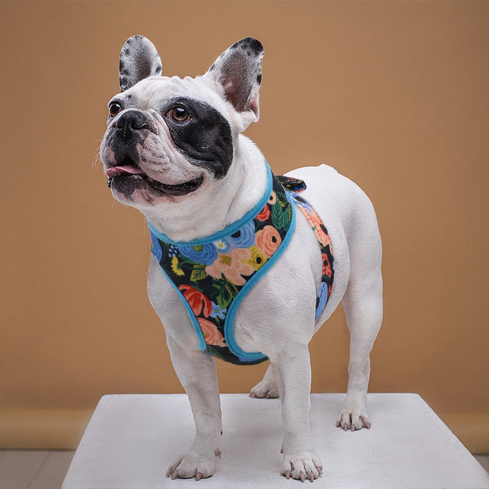 Small/Medium Dogs Pattern Harness - hugostreats