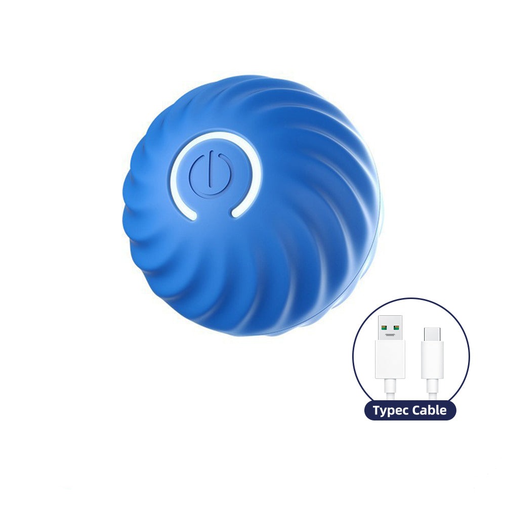 Smart interactive Doggie Ball