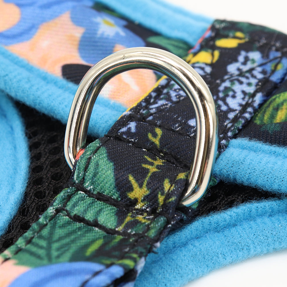 Small/Medium Dogs Pattern Harness - hugostreats