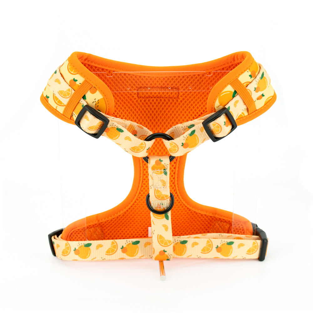 Adjustable Neck Harness - Oranges