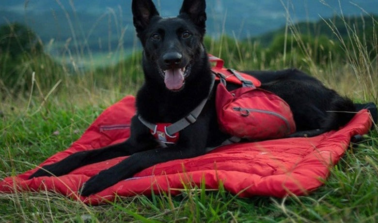 Portable Travel Bed - hugostreats