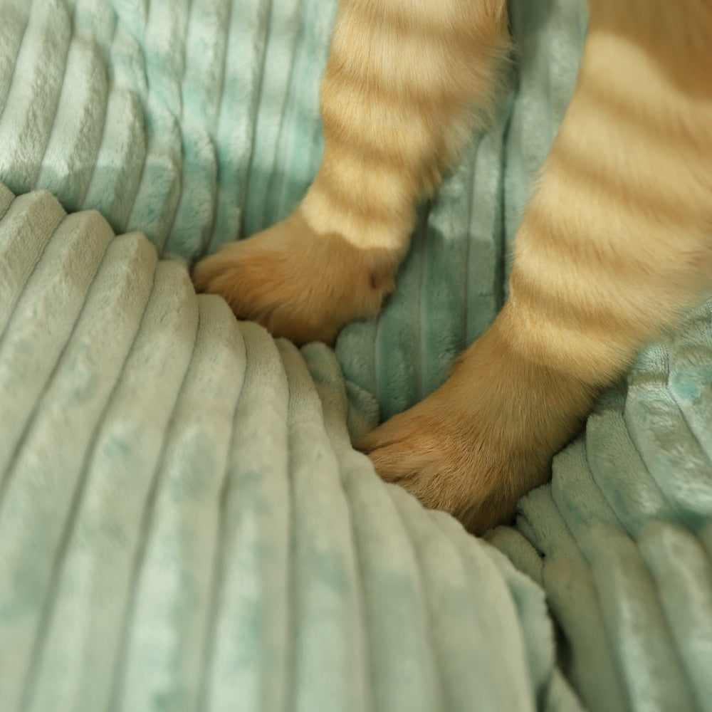 Washable Oversized Corduroy Bed - hugostreats