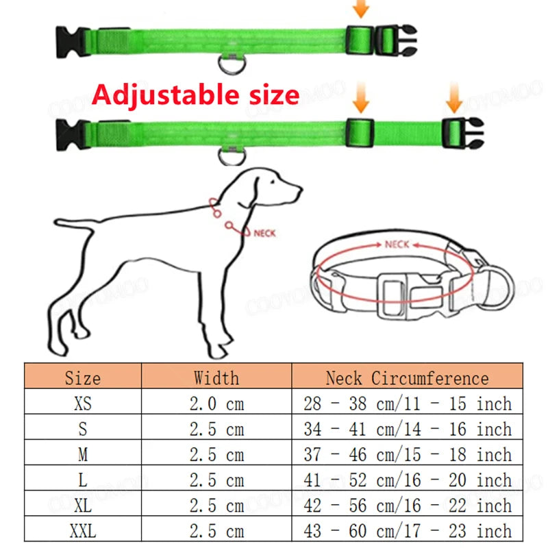 Re-chargeable LED Dog Collar - Green