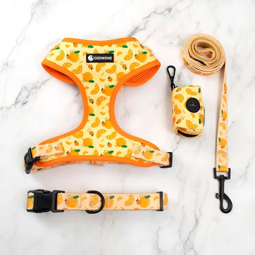Adjustable Neck Harness - Oranges