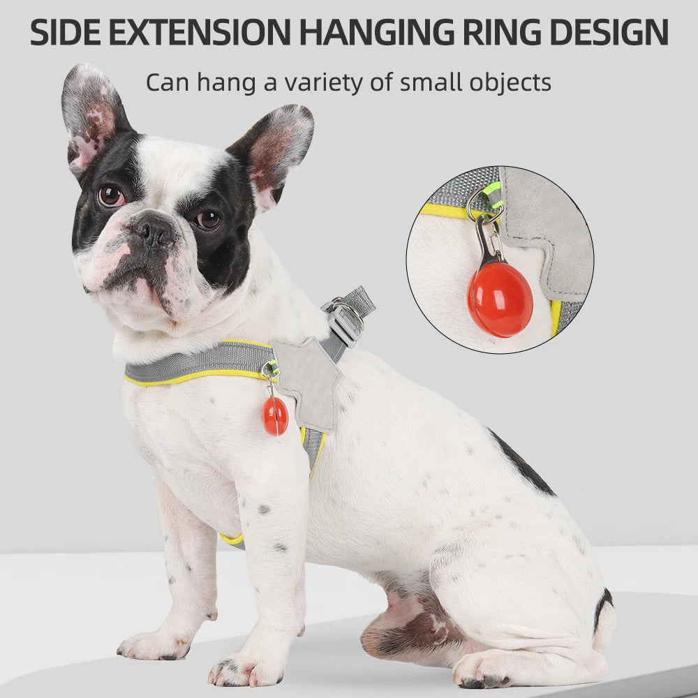 Easy Install Reflective Harness - Blue