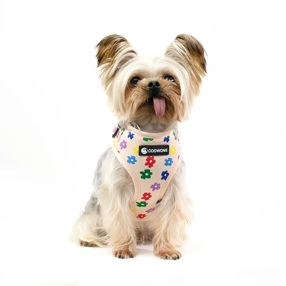 Adjustable Neck Harness - Floral Rainbow