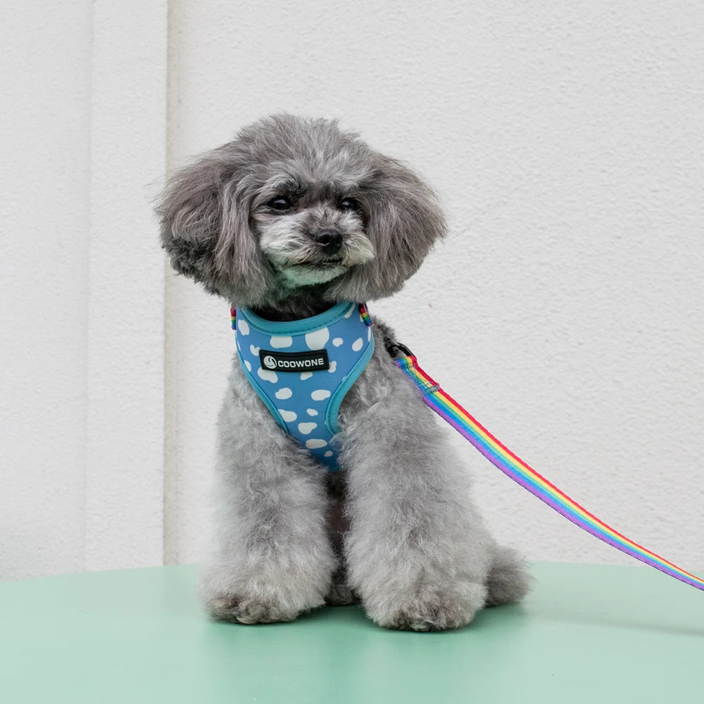 Adjustable Neck Harness - Rainbow Cloud