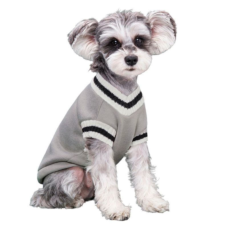College Styled Sweater Small/Medium