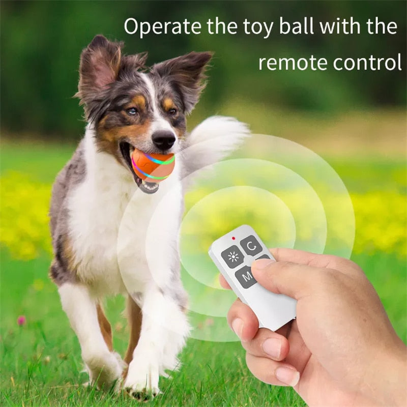 Dog Interactive LED Rolling Ball
