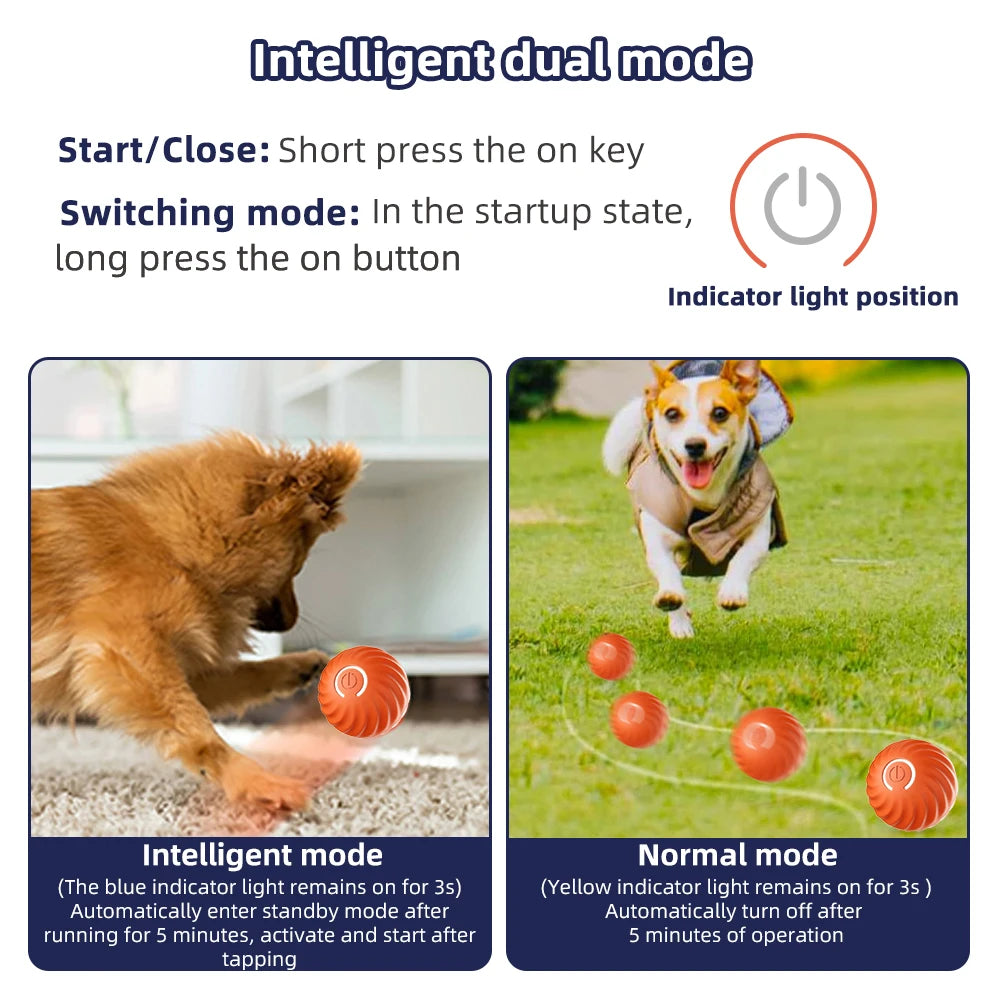 Smart interactive Doggie Ball