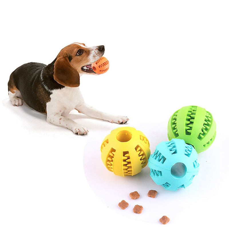 Treat Dispensing Dog Ball