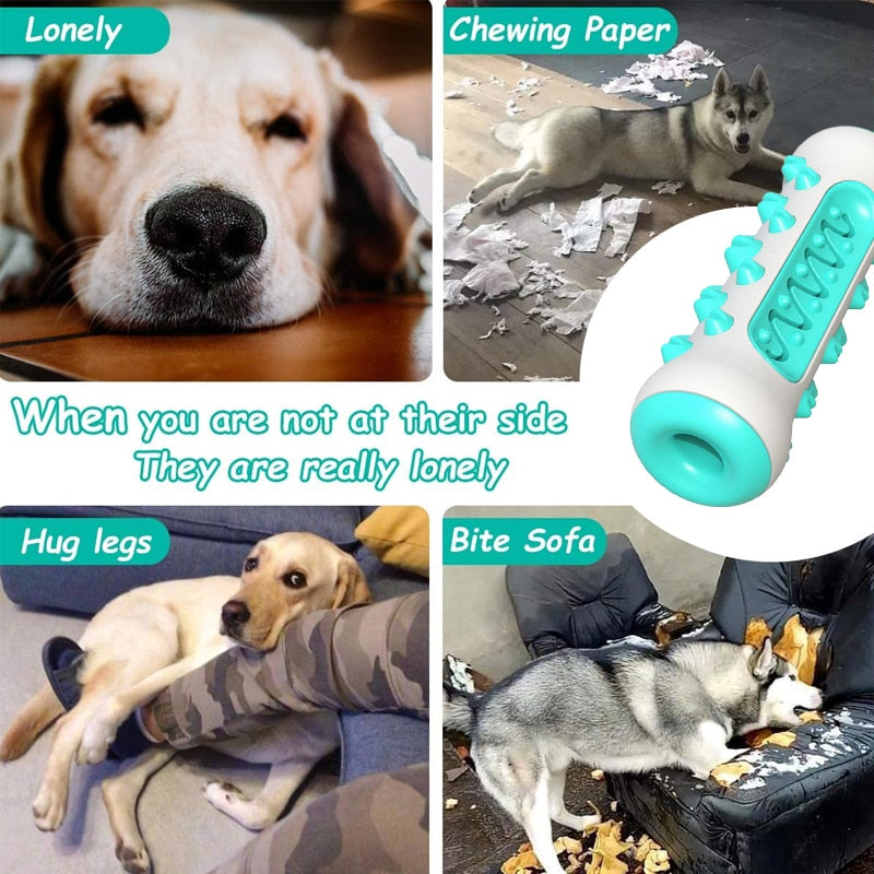 Dental chew Teeth Cleaning Toy