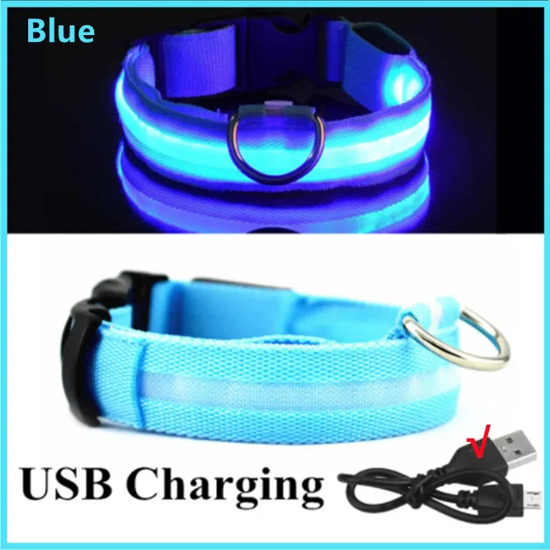 Re-chargeable LED Dog Collar - Blue
