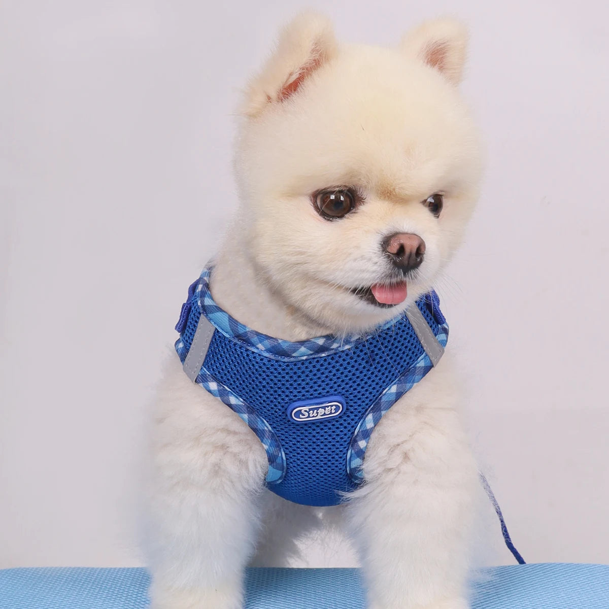 Super Cute Full Control Harness Small/Medium