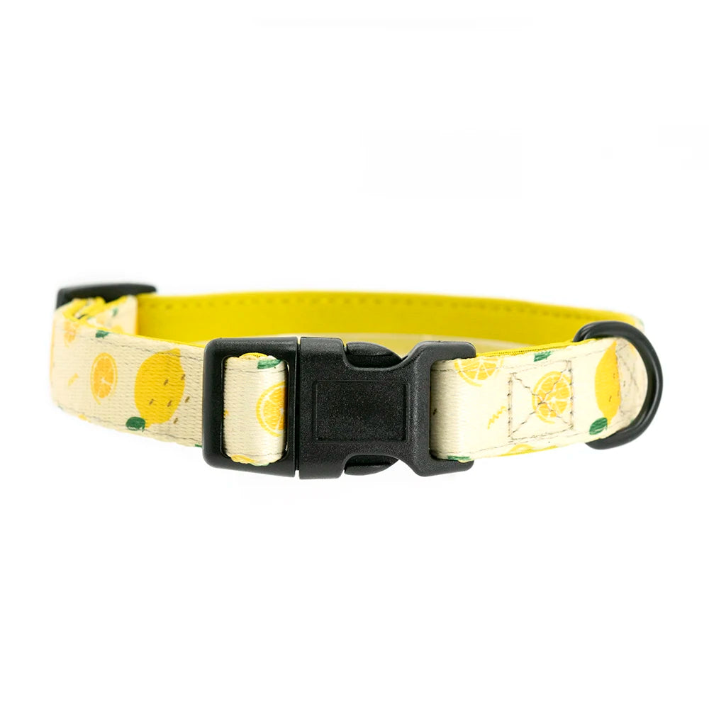 Adjustable Neck Harness - Lemons