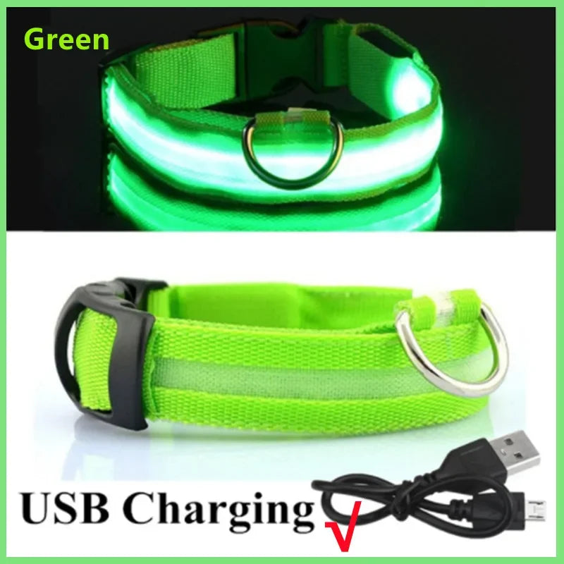 Re-chargeable LED Dog Collar - Green