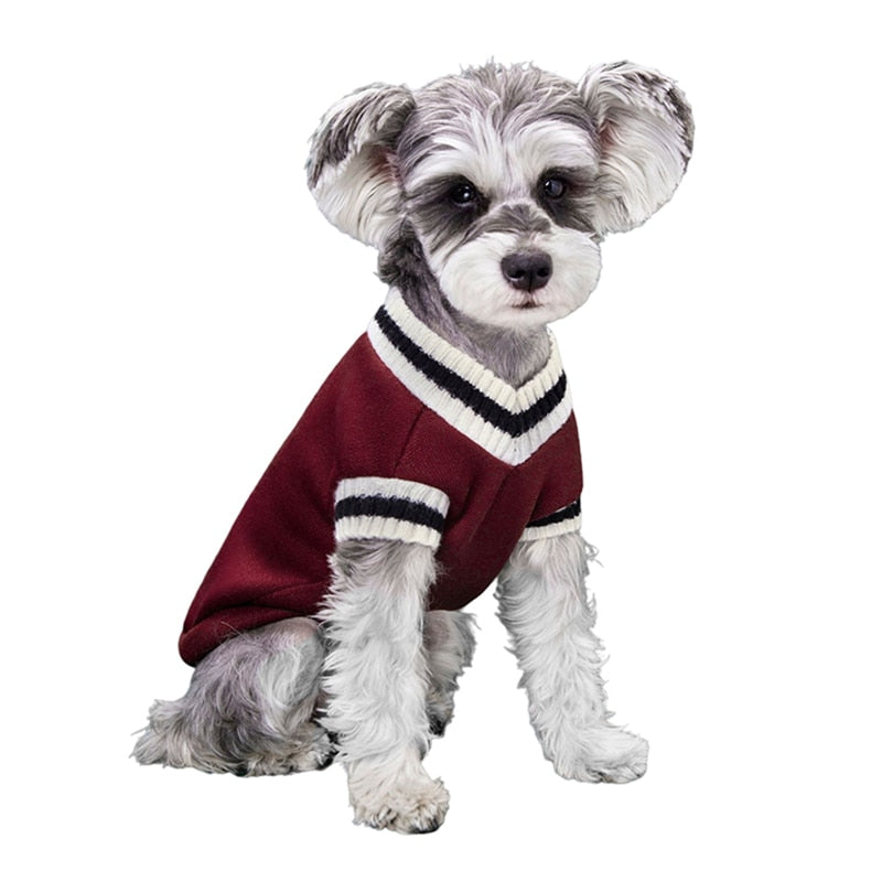 College Styled Sweater Small/Medium