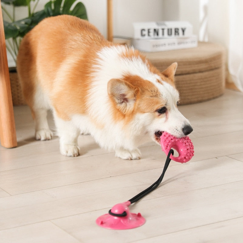 Dog Suction Tug of War Toy