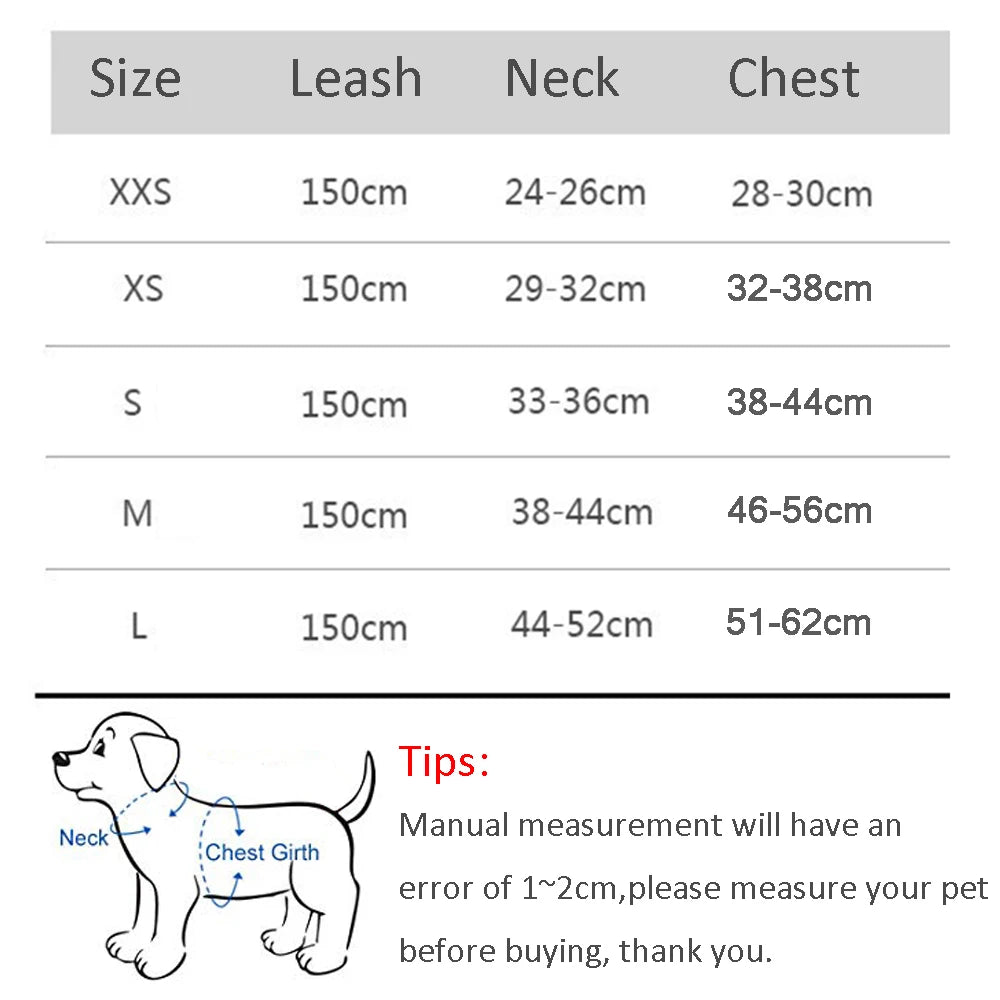 Red Reflective Small Dog Cute Harness and Lead