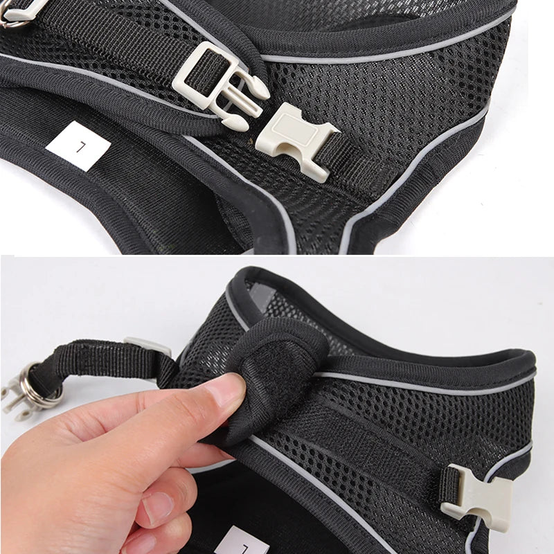 Black Reflective Small Dog Cute Harness and Lead