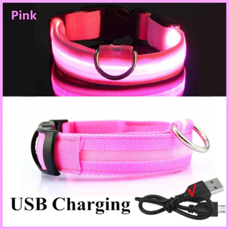 Re-chargeable LED Dog Collar - Pink