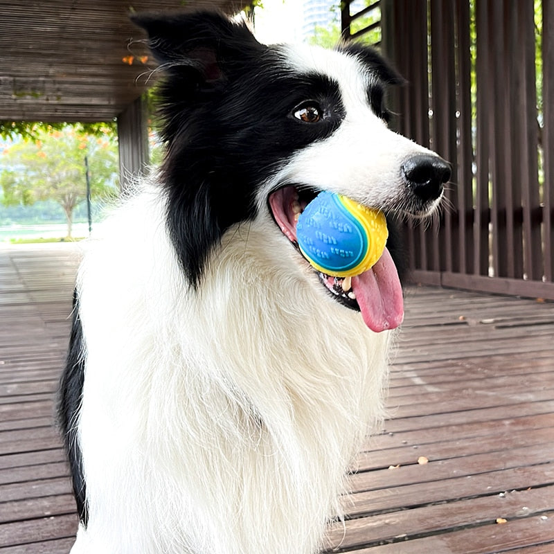 Dog Squeaky Throwing Ball