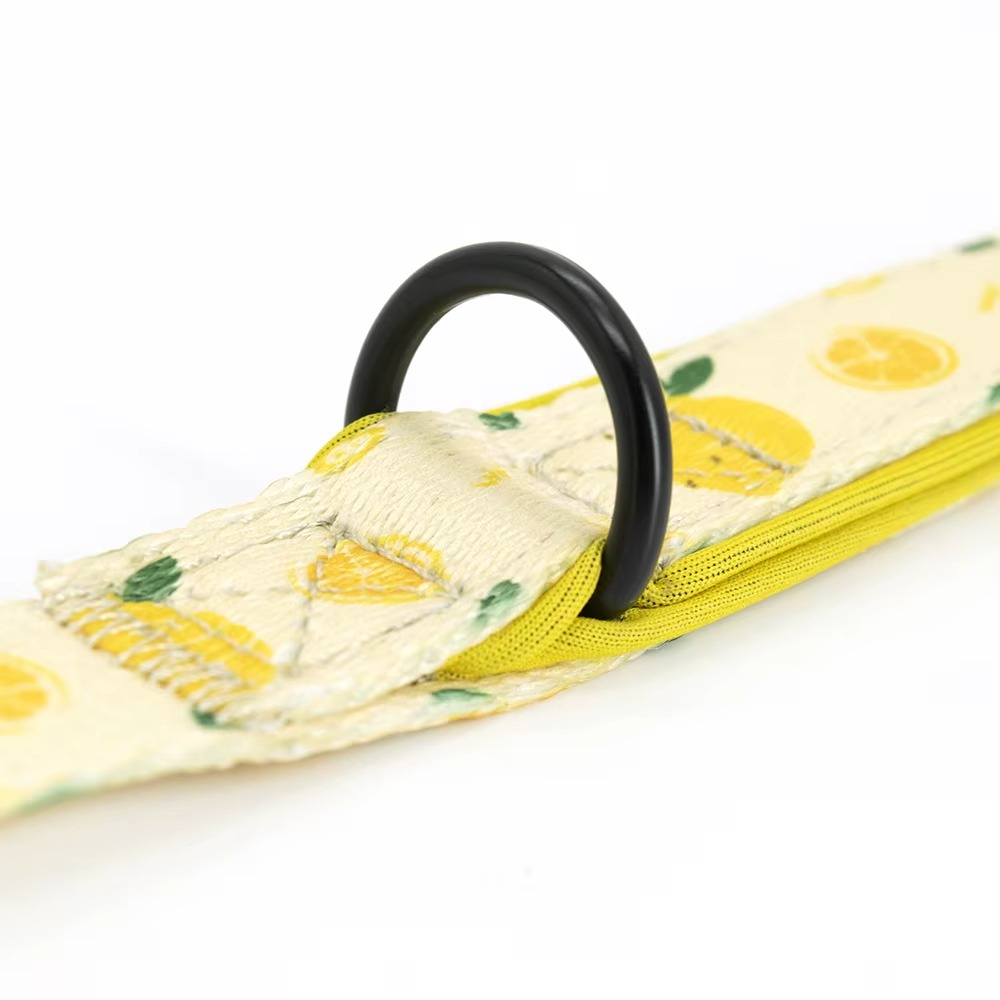 Adjustable Neck Harness - Lemons