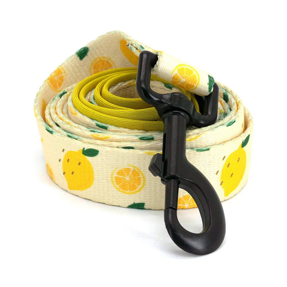 Adjustable Neck Harness - Lemons