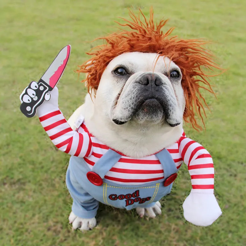 Dog Chucky Halloween Costume