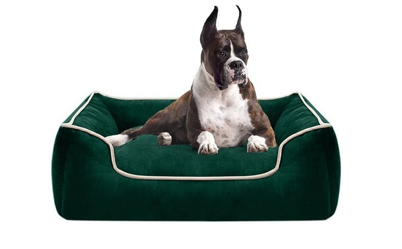 Luxury Comfort Bed - hugostreats