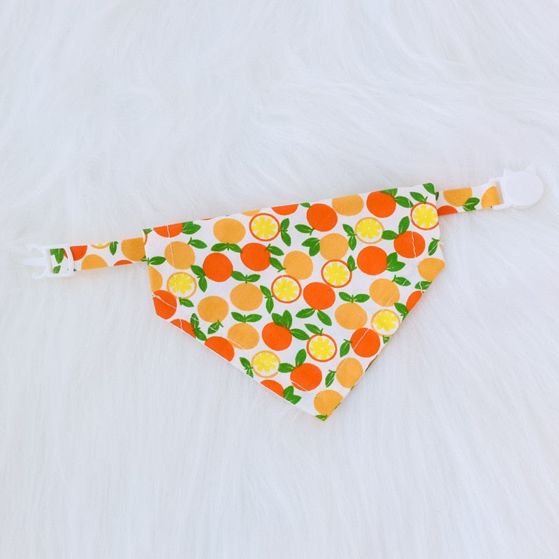 Fruit Bandana Accessories - hugostreats