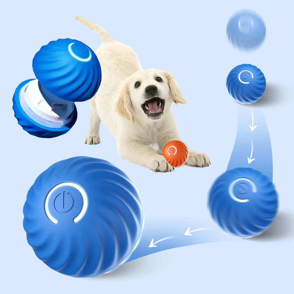 Smart interactive Doggie Ball
