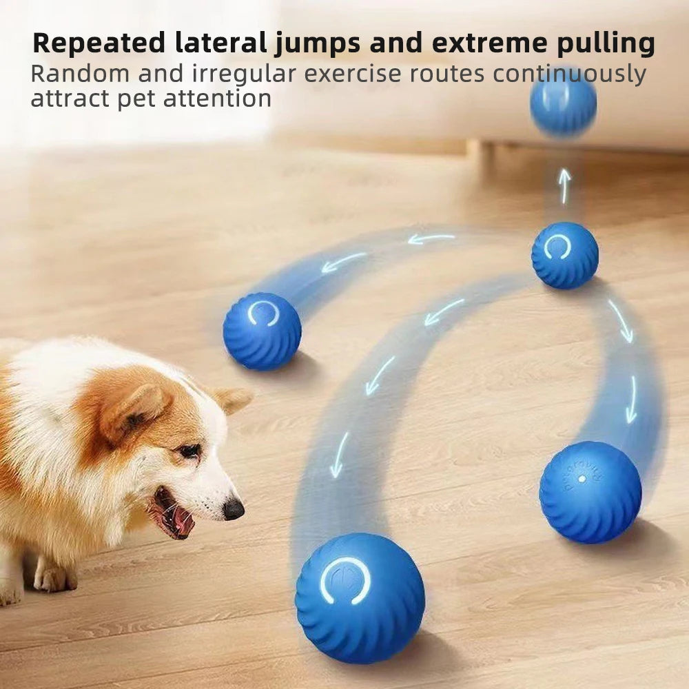 Smart interactive Doggie Ball