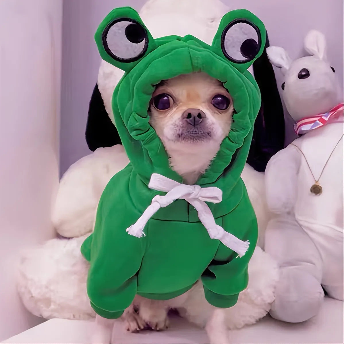 Doggie Frog Hoody (Small-Medium Breeds)