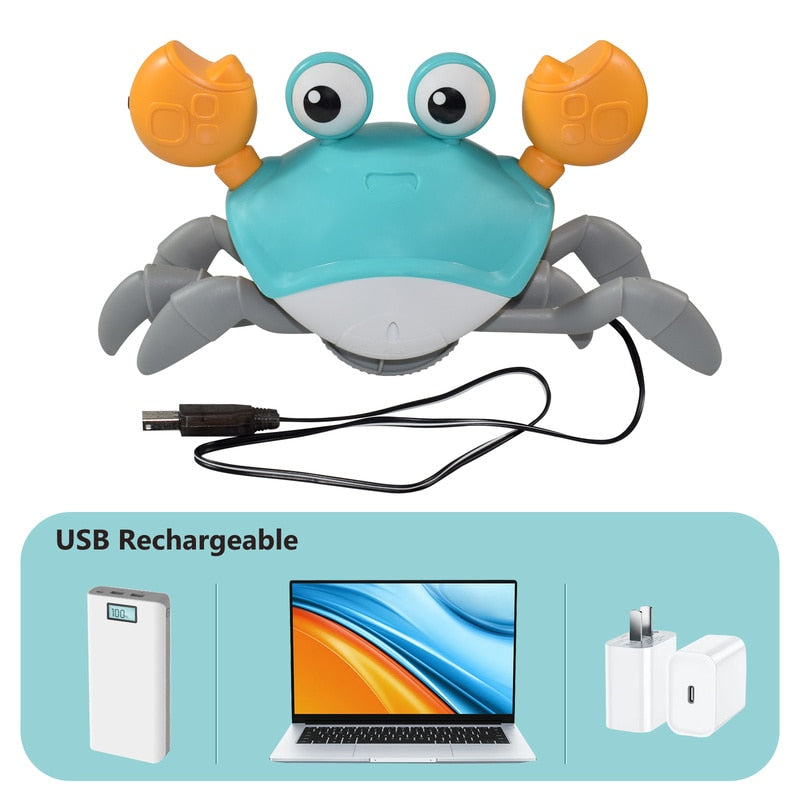Playful Paws Interactive Crab Toy - hugostreats