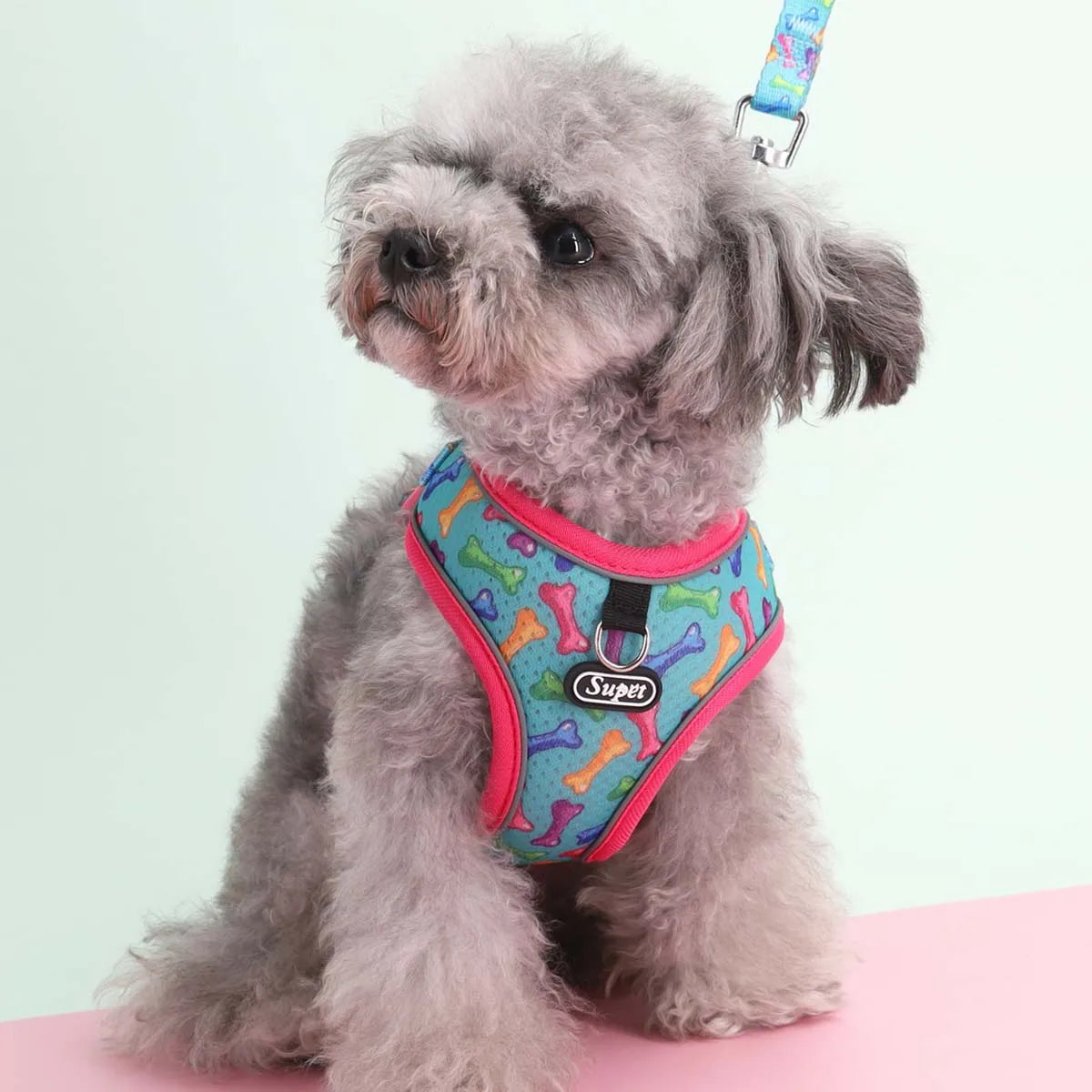 Full Control Harness + Leash - Rose Red