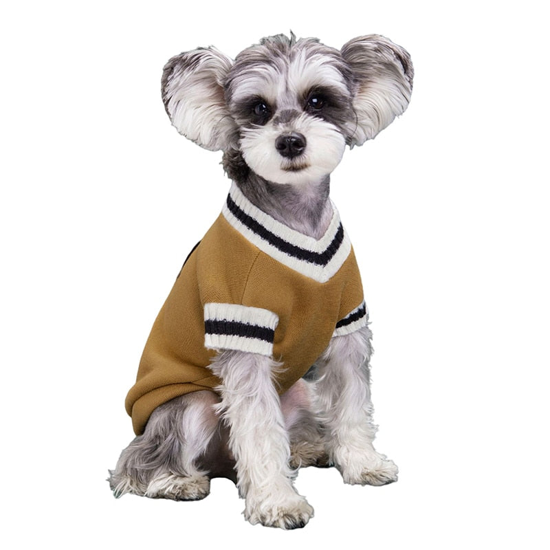College Styled Sweater Small/Medium